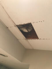 Before plaster drywall repair near Chagrin Falls by Pro Finish Painting and Drywall