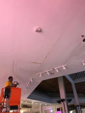 Ceiling Plaster Repair
